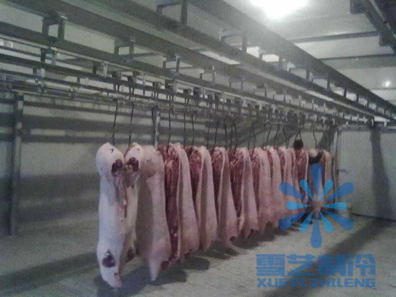 肉制品豬肉冷藏保鮮庫以及注意事項！！