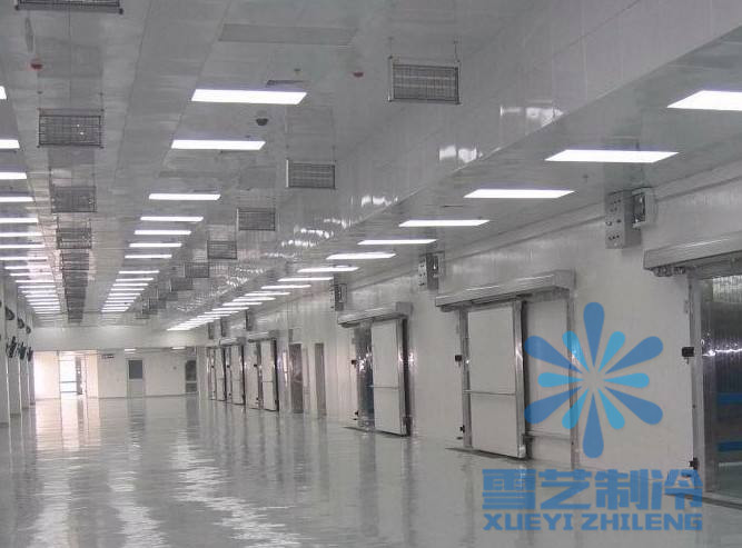 1000噸速凍冷庫價格多少錢?冷庫造價,1000噸速凍冷庫