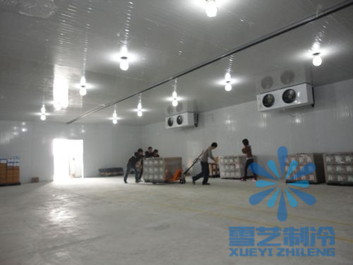 冷庫多少錢一立方？冷庫怎樣計算價格？建冷庫需要什么條件？