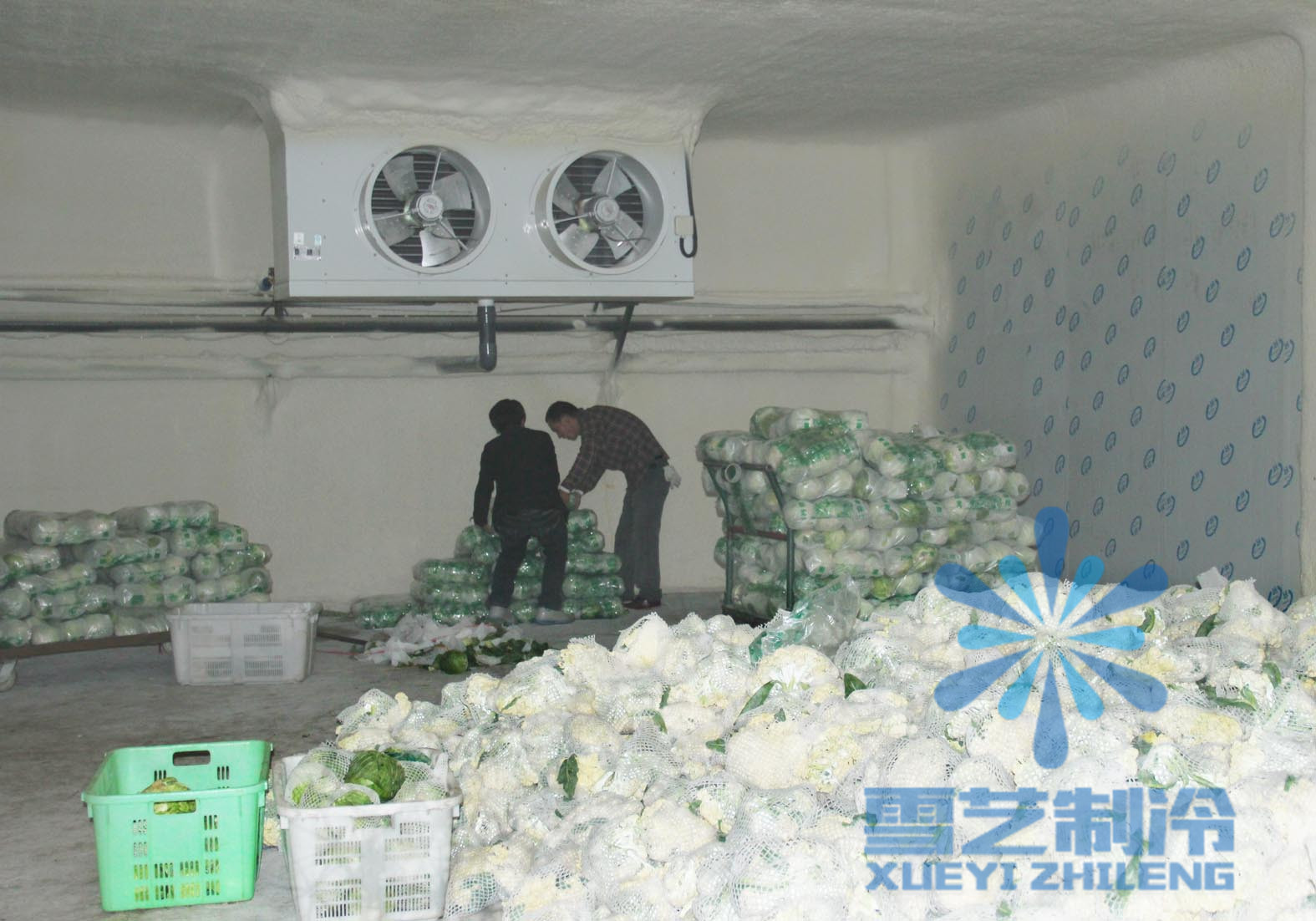 浙江蔬菜保鮮冷庫(kù)設(shè)計(jì)安裝，保鮮冷庫(kù)造價(jià)多少錢
