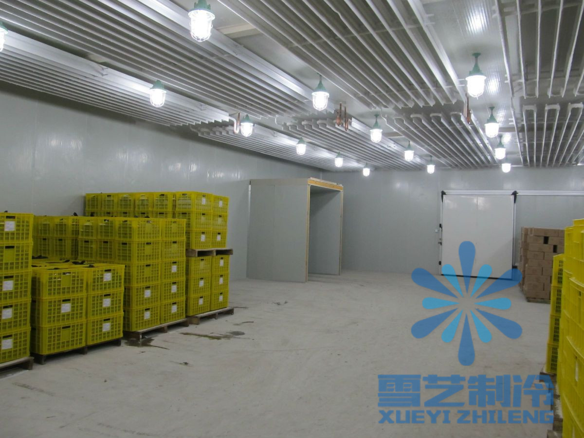 500平方冷庫安裝公司哪家好？冷庫設(shè)計(jì)安裝
