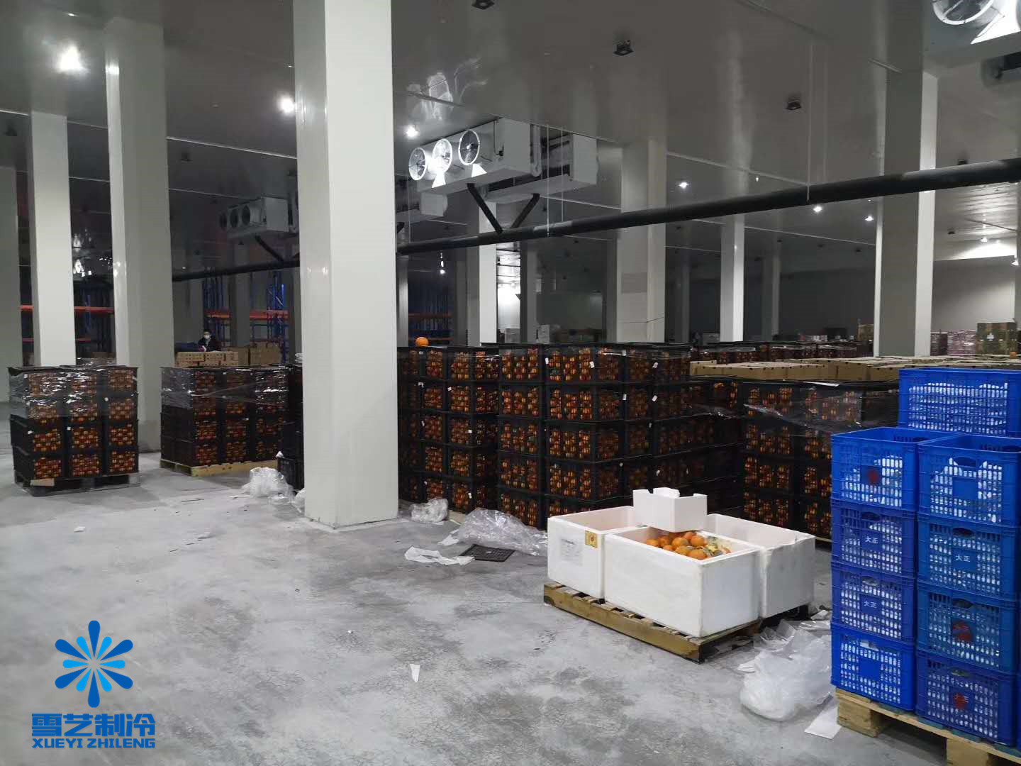 水果橘子冷庫(kù).jpg