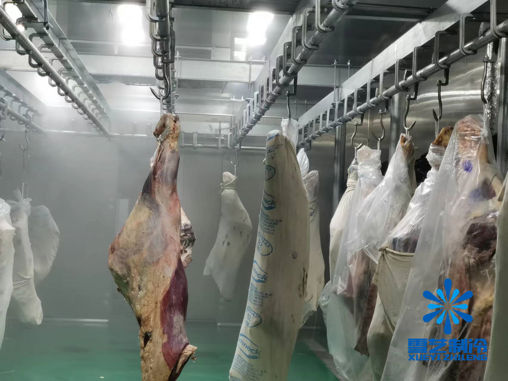 緩化庫，肉類解凍冷庫115.jpg