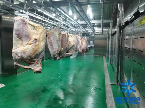 浙江海鮮肉類低溫高濕解凍庫、緩化庫工程案例